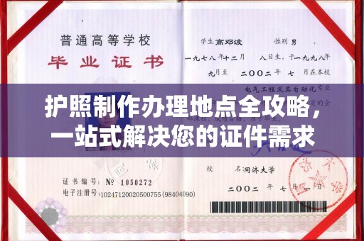 嵩县护照制作办理地点全攻略，一站式解决您的证件需求