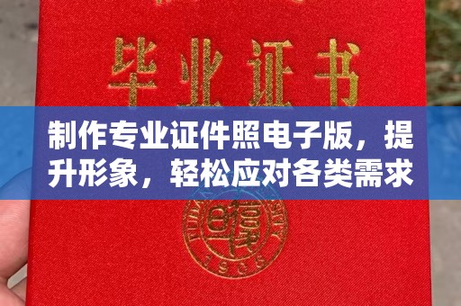 嵩县制作专业证件照电子版，提升形象，轻松应对各类需求