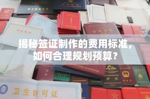 嵩县揭秘签证制作的费用标准，如何合理规划预算？