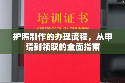 嵩县护照制作的办理流程，从申请到领取的全面指南
