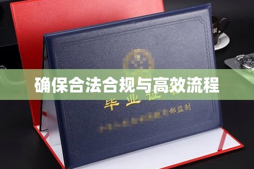 嵩县确保合法合规与高效流程