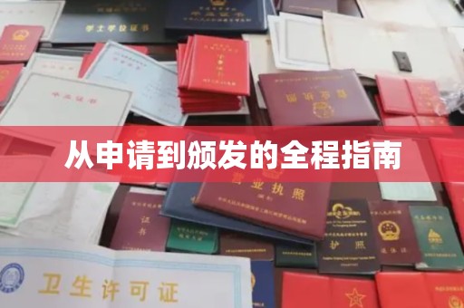 嵩县从申请到颁发的全程指南