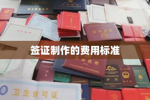 嵩县签证制作的费用标准