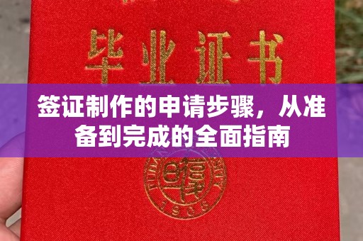 嵩县签证制作的申请步骤，从准备到完成的全面指南