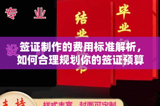 嵩县签证制作的费用标准解析，如何合理规划你的签证预算