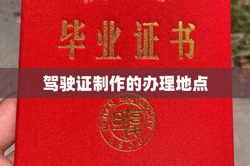嵩县驾驶证制作的办理地点