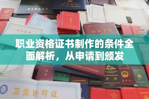 嵩县职业资格证书制作的条件全面解析，从申请到颁发