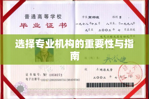嵩县选择专业机构的重要性与指南