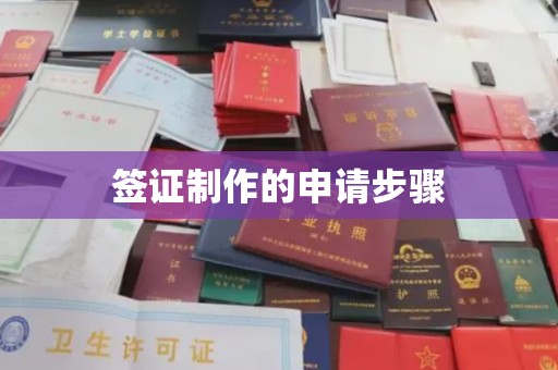 嵩县签证制作的申请步骤