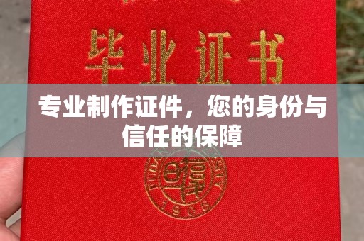嵩县专业制作证件，您的身份与信任的保障