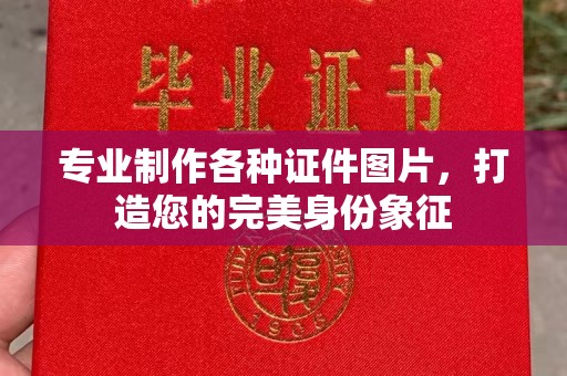 嵩县专业制作各种证件图片，打造您的完美身份象征