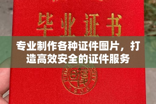 嵩县专业制作各种证件图片，打造高效安全的证件服务