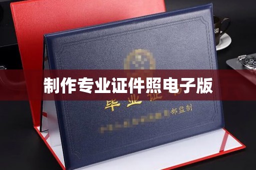嵩县制作专业证件照电子版