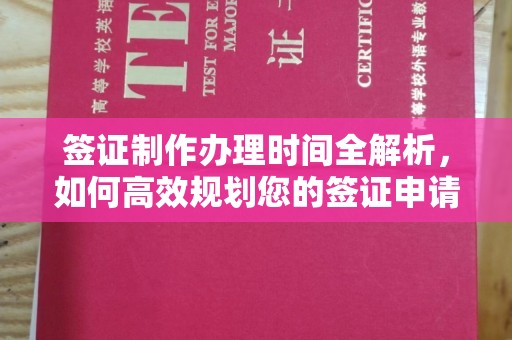 嵩县签证制作办理时间全解析，如何高效规划您的签证申请流程