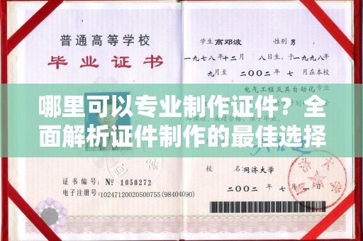 嵩县哪里可以专业制作证件？全面解析证件制作的最佳选择