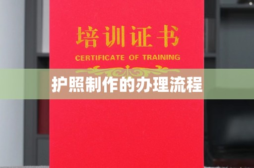嵩县护照制作的办理流程